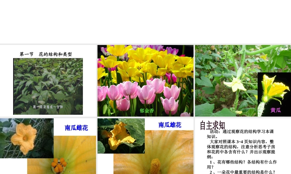 八年级生物上册 花的结构和类型课件 济南版