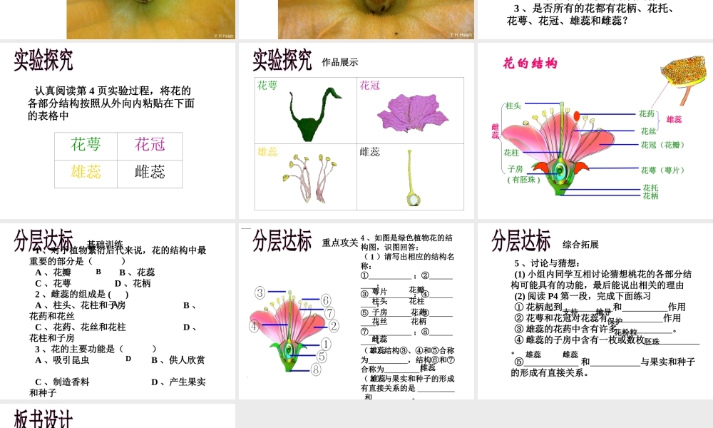 八年级生物上册 花的结构和类型课件 济南版