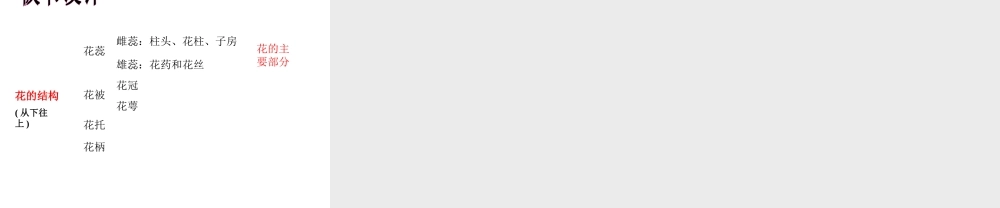 八年级生物上册 花的结构和类型课件 济南版