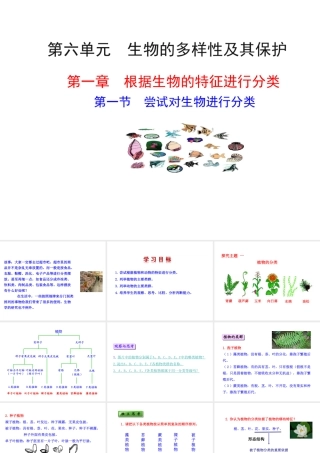 八年级生物上册 第六单元 第一章 第一节 尝试对生物进行分类课件 （新版）新人教版