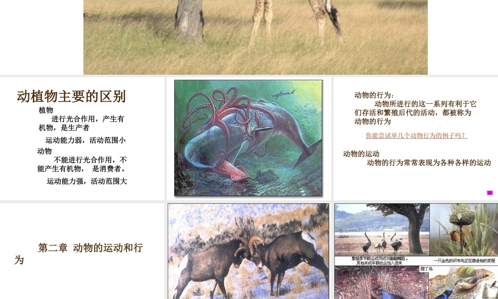 八年级生物上册 第五单元 第二章 第一节《动物的运动》课件1 （新版）新人教版