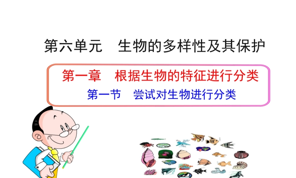 八年级生物上册 第六单元 第一章 第一节 尝试对生物进行分类课件 新人教版