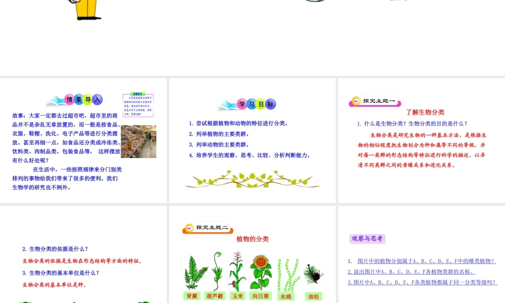 八年级生物上册 第六单元 第一章 第一节 尝试对生物进行分类课件 新人教版