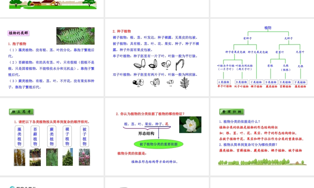 八年级生物上册 第六单元 第一章 第一节 尝试对生物进行分类课件 新人教版