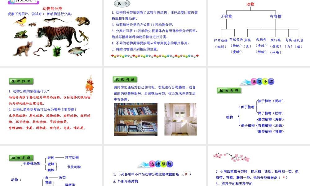 八年级生物上册 第六单元 第一章 第一节 尝试对生物进行分类课件 新人教版
