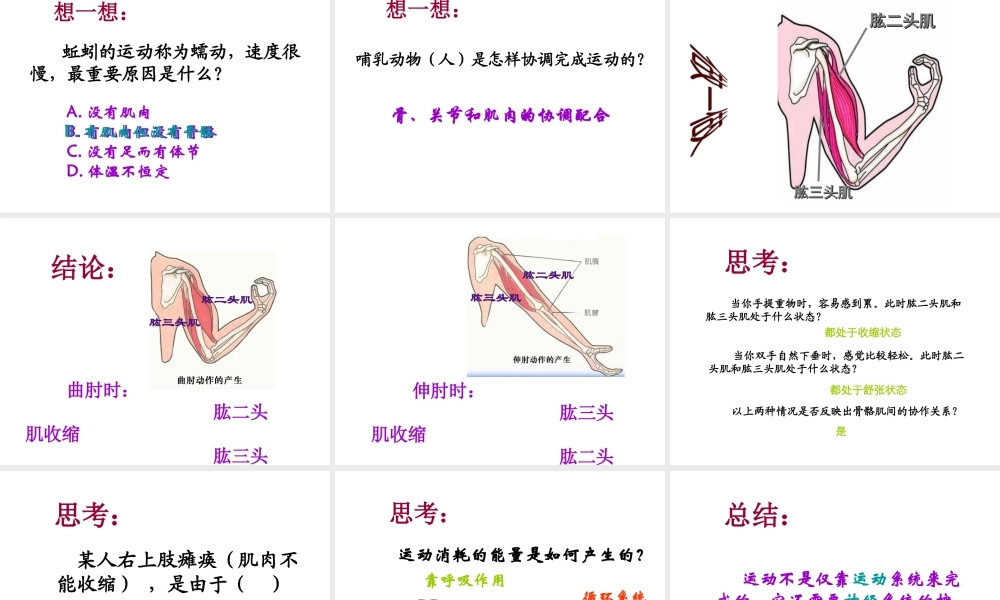 八年级生物上册 第五单元 第二章 第一节《动物的运动》课件2 （新版）新人教版