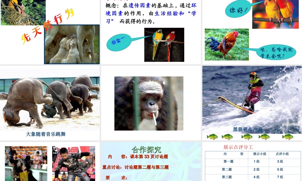 八年级生物上册 第五单元 第二章 动物的运动和行为 第二节 动物的先天性行为和学习行为课件 （新版）新人教版