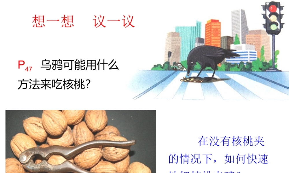 八年级生物上册 第五单元 第二章 动物的运动和行为 第二节 先天性行为和学习行为课件 （新版）新人教版