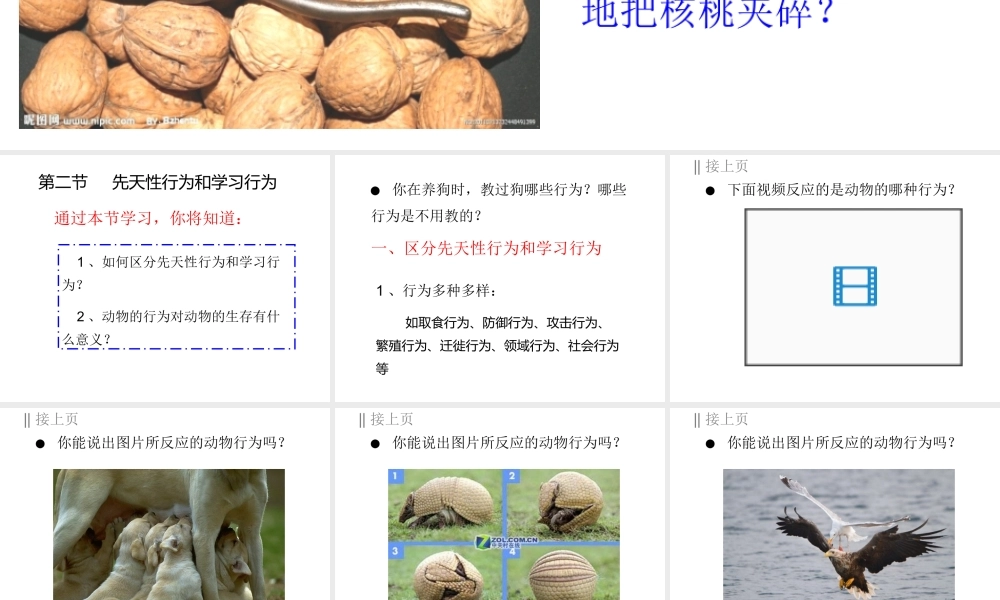 八年级生物上册 第五单元 第二章 动物的运动和行为 第二节 先天性行为和学习行为课件 （新版）新人教版
