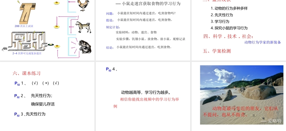 八年级生物上册 第五单元 第二章 动物的运动和行为 第二节 先天性行为和学习行为课件 （新版）新人教版