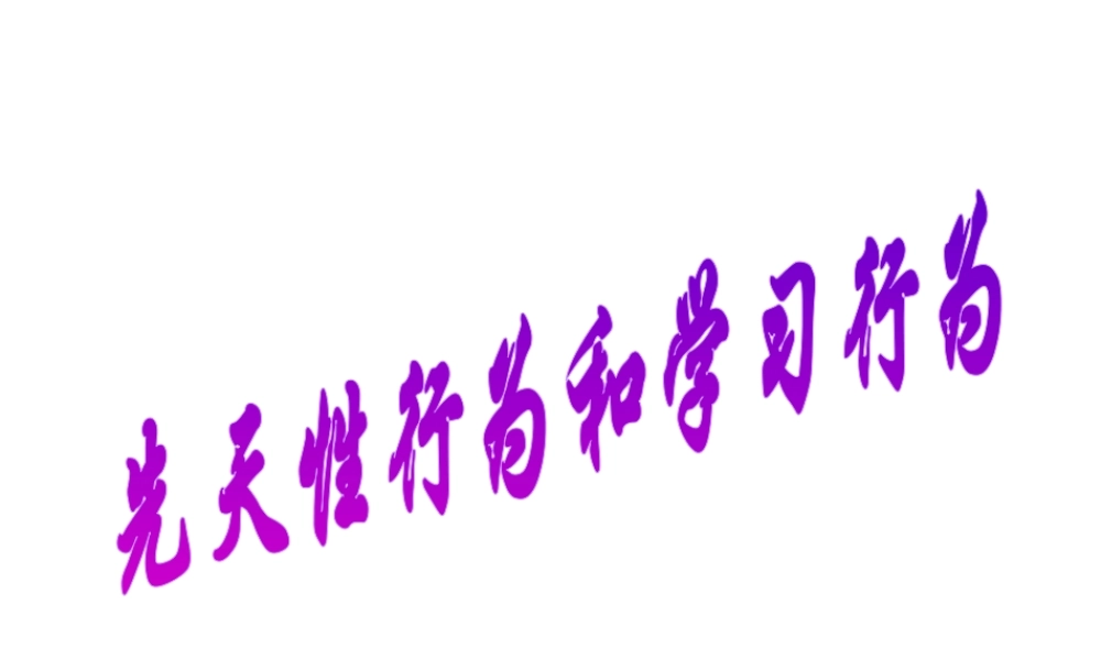 八年级生物上册 第五单元 第二章 动物的运动和行为 第二节《先天性行为和学习行为》课件 （新版）新人教版