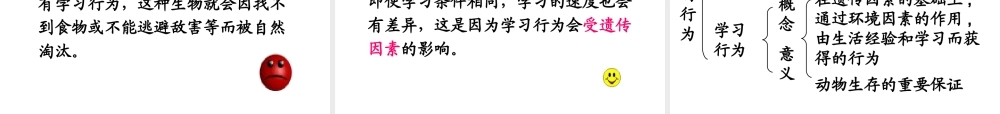 八年级生物上册 第五单元 第二章 动物的运动和行为 第二节《先天性行为和学习行为》课件 （新版）新人教版