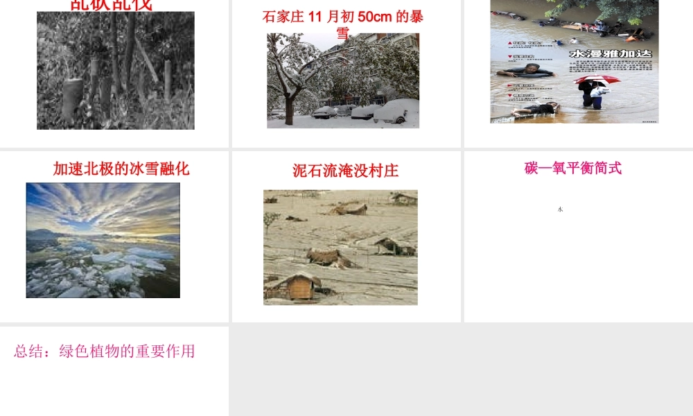 八年级生物上册 绿色植物与生物圈中的碳-氧平衡课件 苏科版