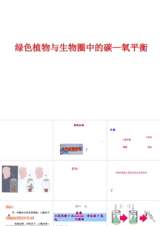 八年级生物上册 绿色植物与生物圈中的碳-氧平衡课件 苏科版