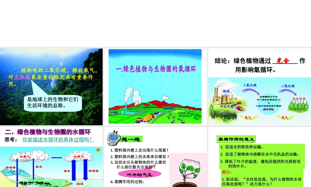 八年级生物上册 绿色植物在生物圈中的作用课件 冀教版