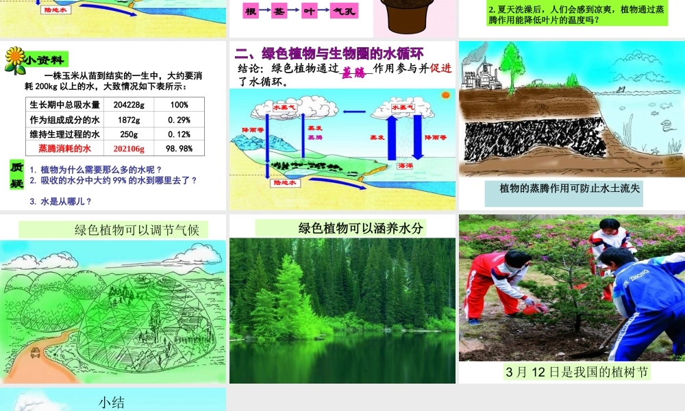 八年级生物上册 绿色植物在生物圈中的作用课件 冀教版