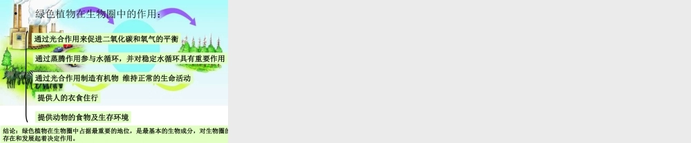 八年级生物上册 绿色植物在生物圈中的作用课件 冀教版