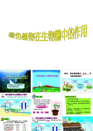 八年级生物上册 绿色植物在生物圈中的作用课件 冀教版