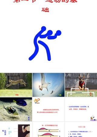 八年级生物上册 第四单元 第一章 第1节《运动的基础》课件1 （新版）冀教版-（新版）冀教级上册生物课件