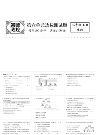 八年级生物上册 第六单元 生物的多样性及其保护标测试课件 （新版）新人教版-（新版）新人教级上册生物课件