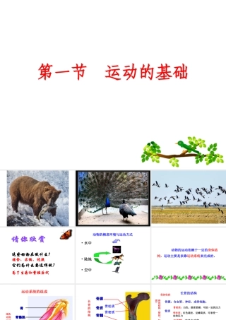 八年级生物上册 第四单元 第一章 第1节《运动的基础》课件2 （新版）冀教版-（新版）冀教版初中八年级上册生物课件