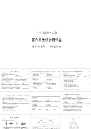 八年级生物上册 第六单元 生物的多样性及其保护测评卷习题课件 （新版）新人教版-（新版）新人教版初中八年级上册生物课件