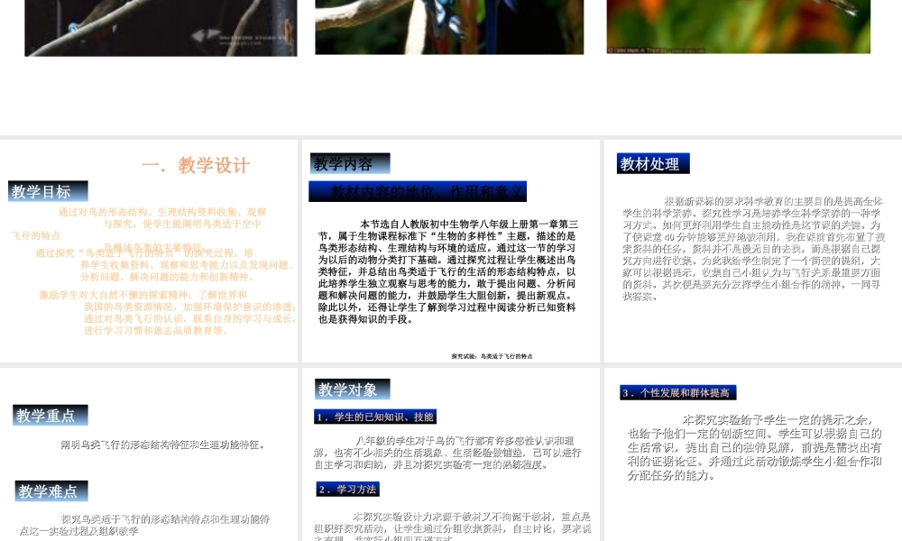 八年级生物上册 鸟类适合飞行的特点课件 人教新课标版