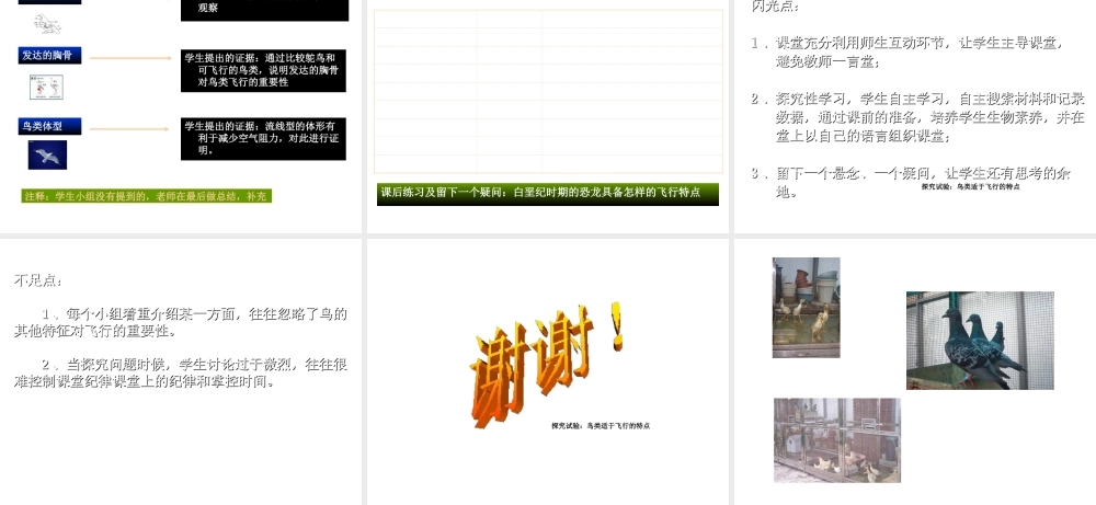 八年级生物上册 鸟类适合飞行的特点课件 人教新课标版