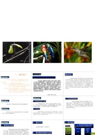 八年级生物上册 鸟类适合飞行的特点课件 人教新课标版