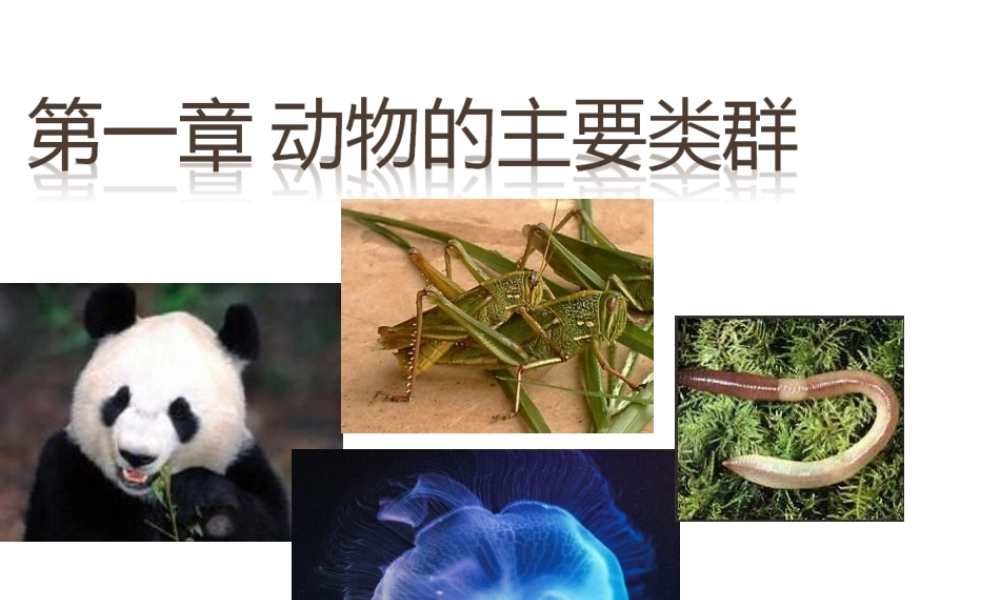 八年级生物上册 腔肠动物和扁形动物课件 （新版）新人教版