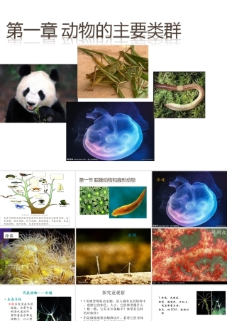 八年级生物上册 腔肠动物和扁形动物课件 （新版）新人教版