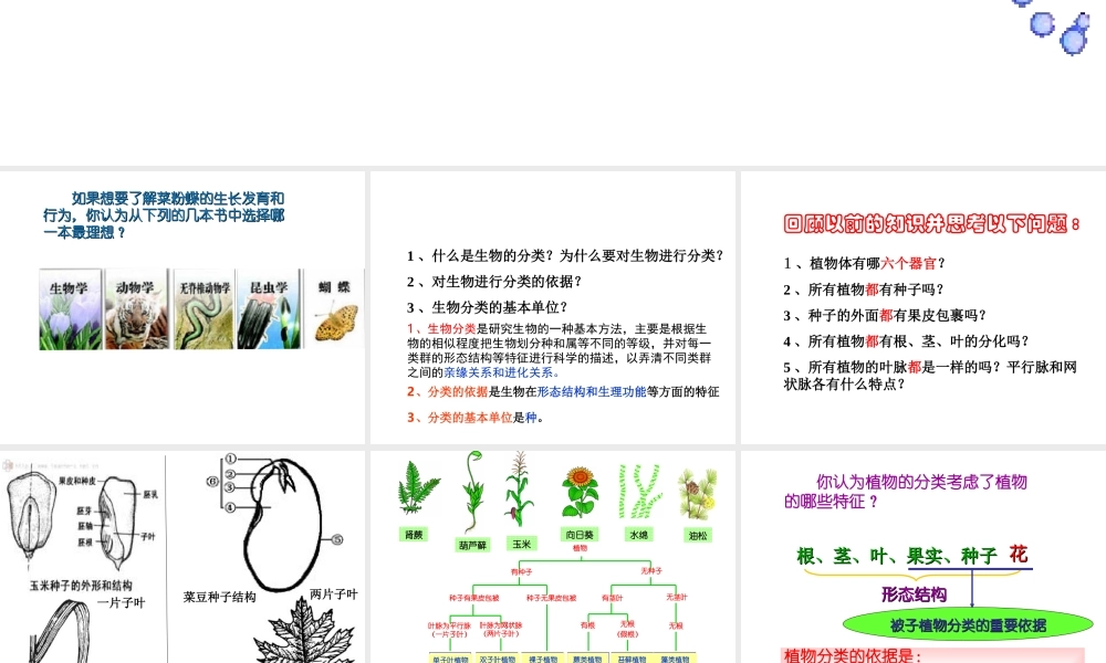 八年级生物上册 第六单元 第一章 第一节 尝试对生物进行分类课件3 （新版）新人教版-（新版）新人教版初中八年级上册生物课件