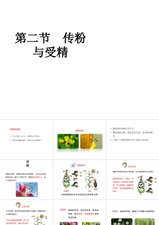 八年级生物上册 第四单元 第一章 第2节《传粉与受精》课件 （新版）济南版-（新版）济南版初中八年级上册生物课件