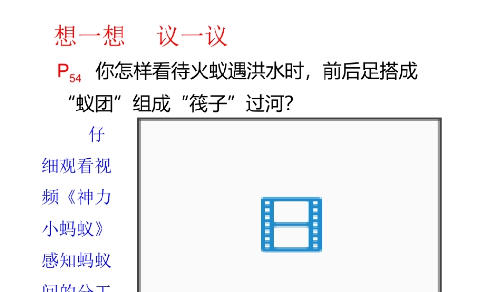 八年级生物上册 第五单元 第二章 动物的运动和行为 第三节 社会行为课件 （新版）新人教版