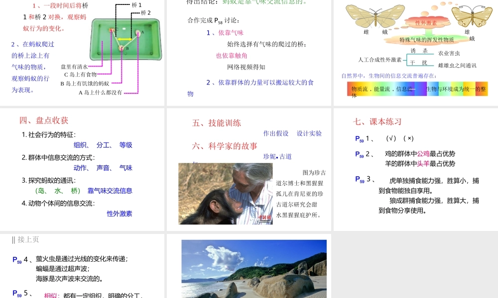 八年级生物上册 第五单元 第二章 动物的运动和行为 第三节 社会行为课件 （新版）新人教版