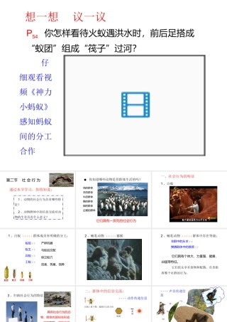 八年级生物上册 第五单元 第二章 动物的运动和行为 第三节 社会行为课件 （新版）新人教版