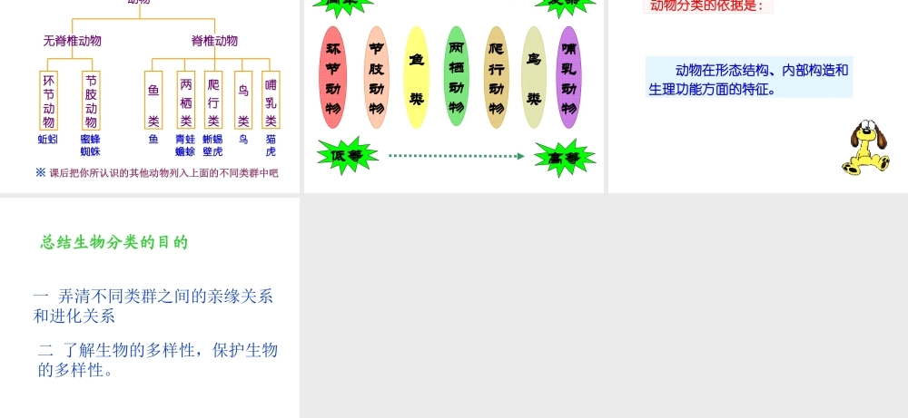 八年级生物上册 第六单元 第一章 第一节 尝试对生物进行分类课件3 （新版）新人教版-（新版）新人教级上册生物课件