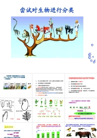 八年级生物上册 第六单元 第一章 第一节 尝试对生物进行分类课件3 （新版）新人教版-（新版）新人教级上册生物课件