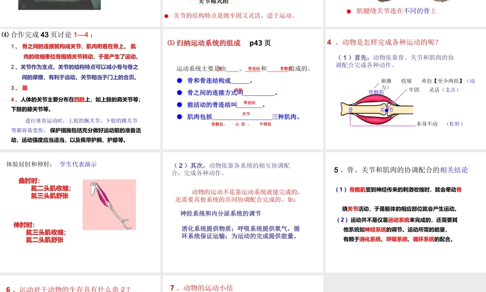 八年级生物上册 第五单元 第二章 动物的运动和行为 第一节 动物的运动课件 （新版）新人教版