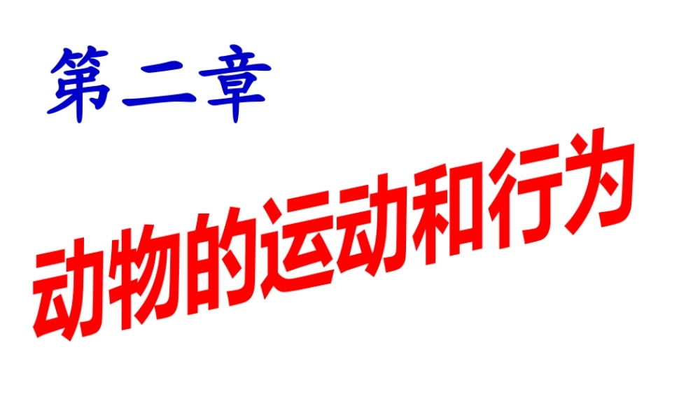 八年级生物上册 第五单元 第二章 动物的运动和行为 第一节 动物的运动课件1 （新版）新人教版