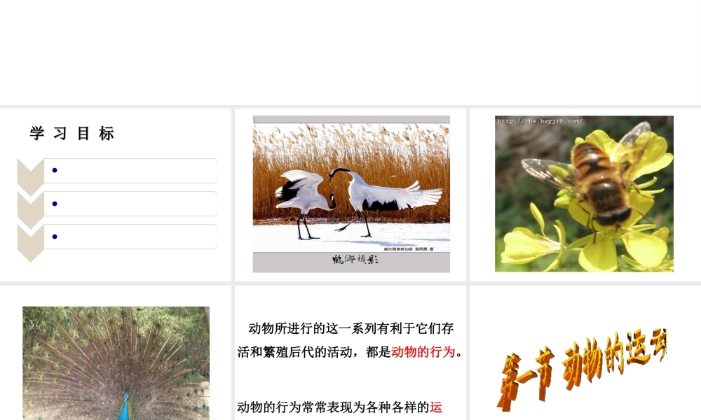 八年级生物上册 第五单元 第二章 动物的运动和行为 第一节 动物的运动课件1 （新版）新人教版