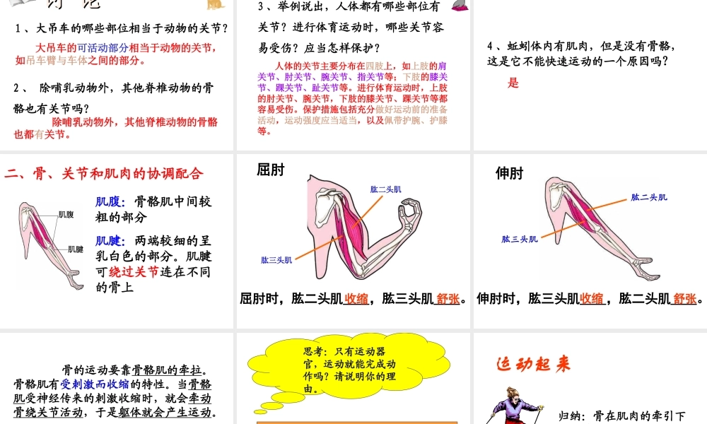 八年级生物上册 第五单元 第二章 动物的运动和行为 第一节 动物的运动课件1 （新版）新人教版