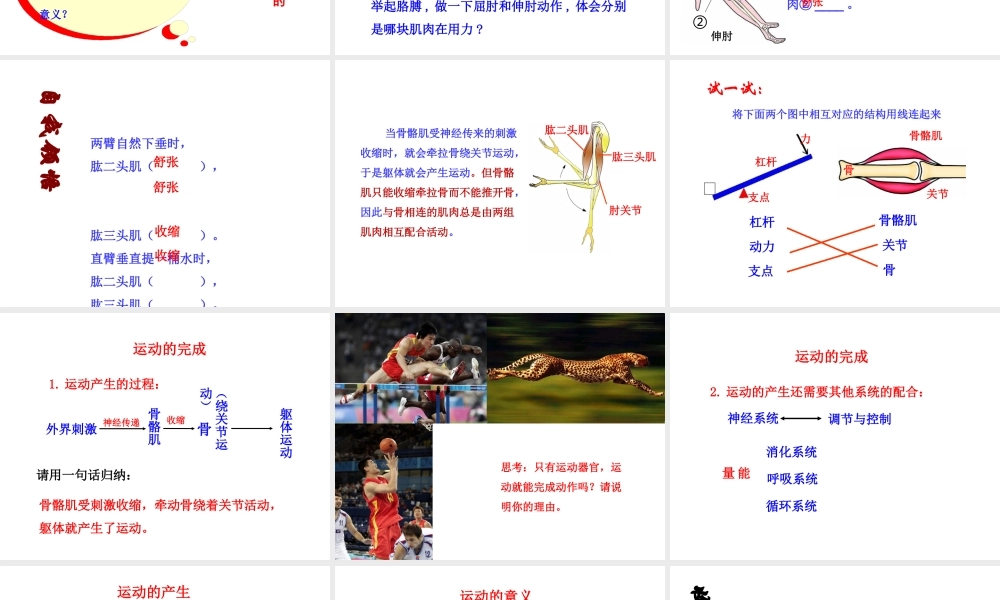 八年级生物上册 第四单元 第一章 第2节《运动的完成》课件1 （新版）冀教版-（新版）冀教版初中八年级上册生物课件