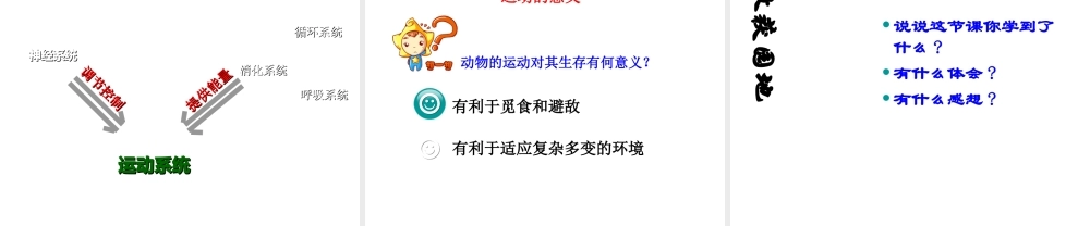 八年级生物上册 第四单元 第一章 第2节《运动的完成》课件1 （新版）冀教版-（新版）冀教版初中八年级上册生物课件