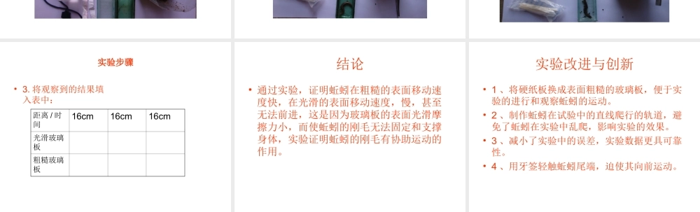 八年级生物上册 蚯蚓运动实验课件 人教新课标版