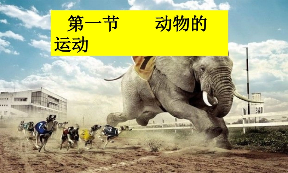 八年级生物上册 第五单元 第二章 动物的运动和行为 第一节 动物的运动课件2 （新版）新人教版