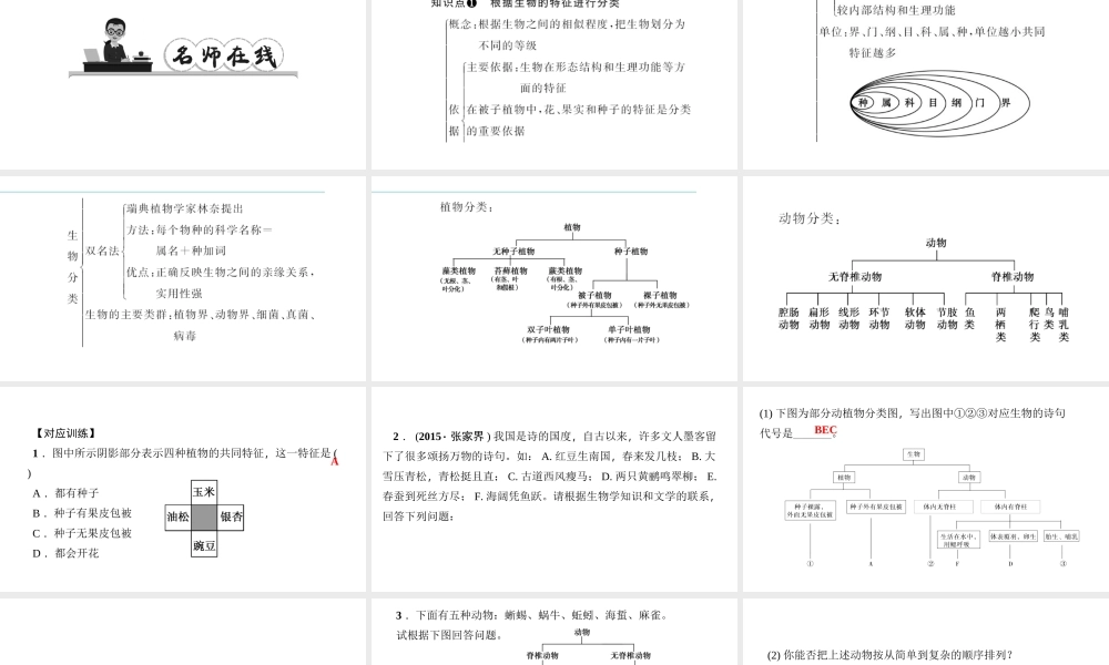 八年级生物上册 第六单元 生物的多样性及其保护单元复习习题课件 （新版）新人教版-（新版）新人教版初中八年级上册生物课件