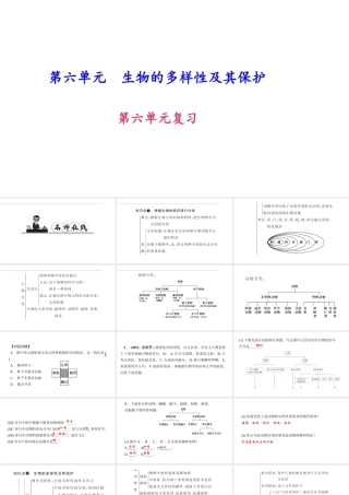 八年级生物上册 第六单元 生物的多样性及其保护单元复习习题课件 （新版）新人教版-（新版）新人教版初中八年级上册生物课件