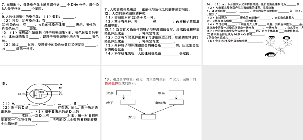 八年级生物上册 细胞核、染色体、DNA、基因的位置关系课件 济南版