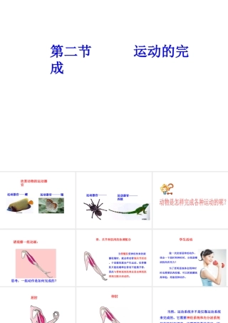 八年级生物上册 第四单元 第一章 第2节《运动的完成》课件2 （新版）冀教版-（新版）冀教级上册生物课件